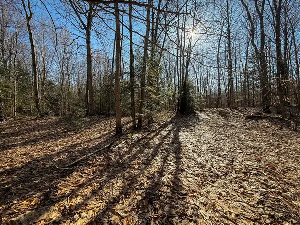 Paradise Road, Central Square, NY 13036