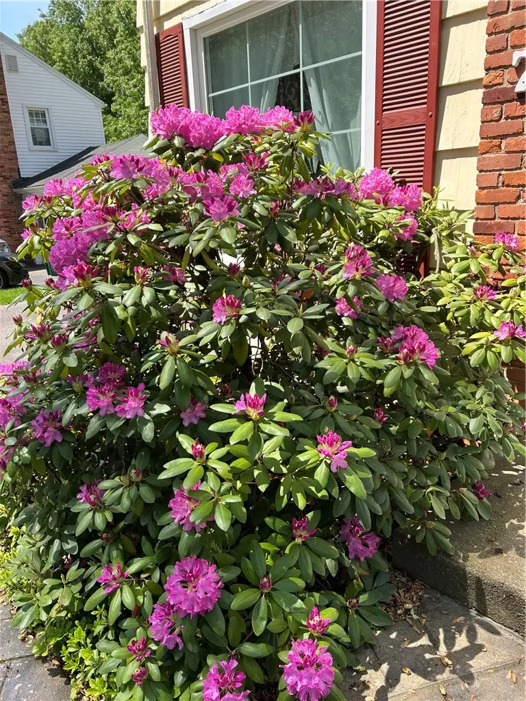 75 Park Lane, Rochester, NY 14625 - #2