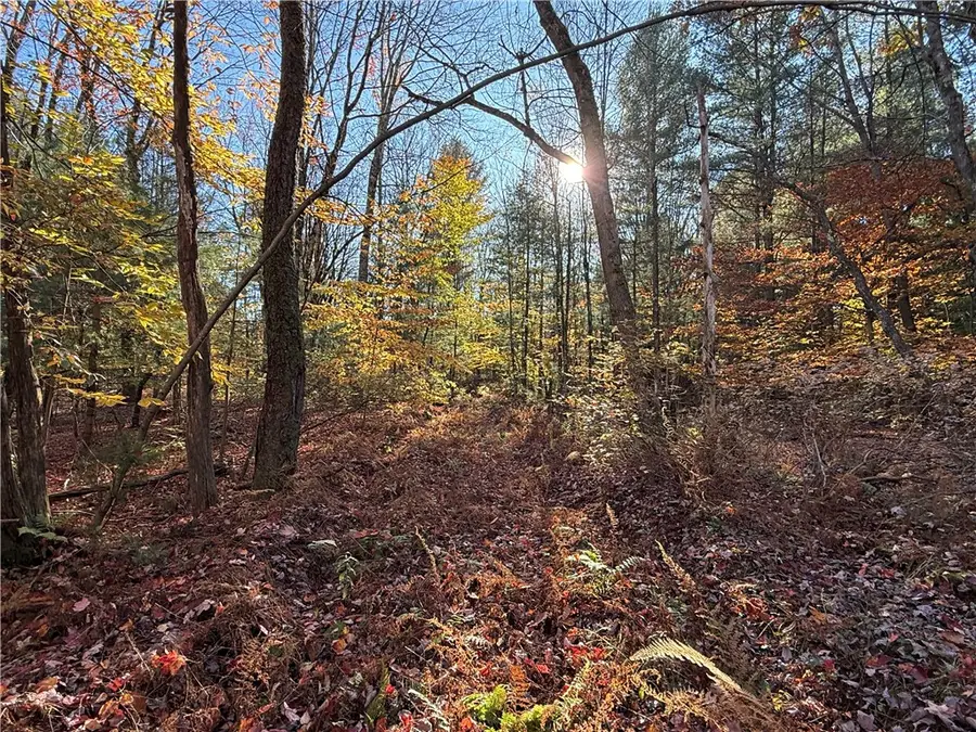 Co Rt 23, Constantia, NY 13044 - #3