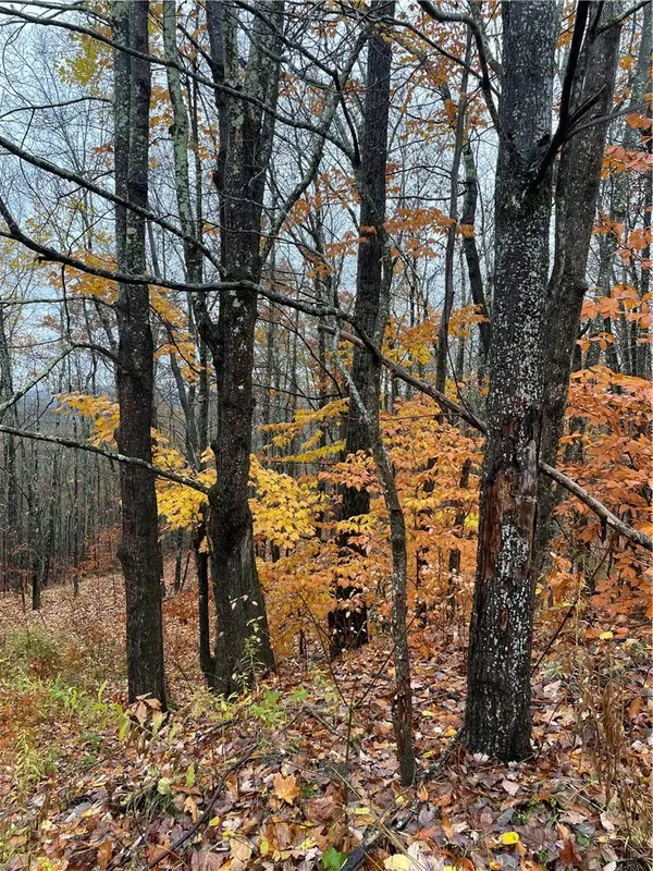 16 Silver Mine Road, North Blenheim, NY 12093