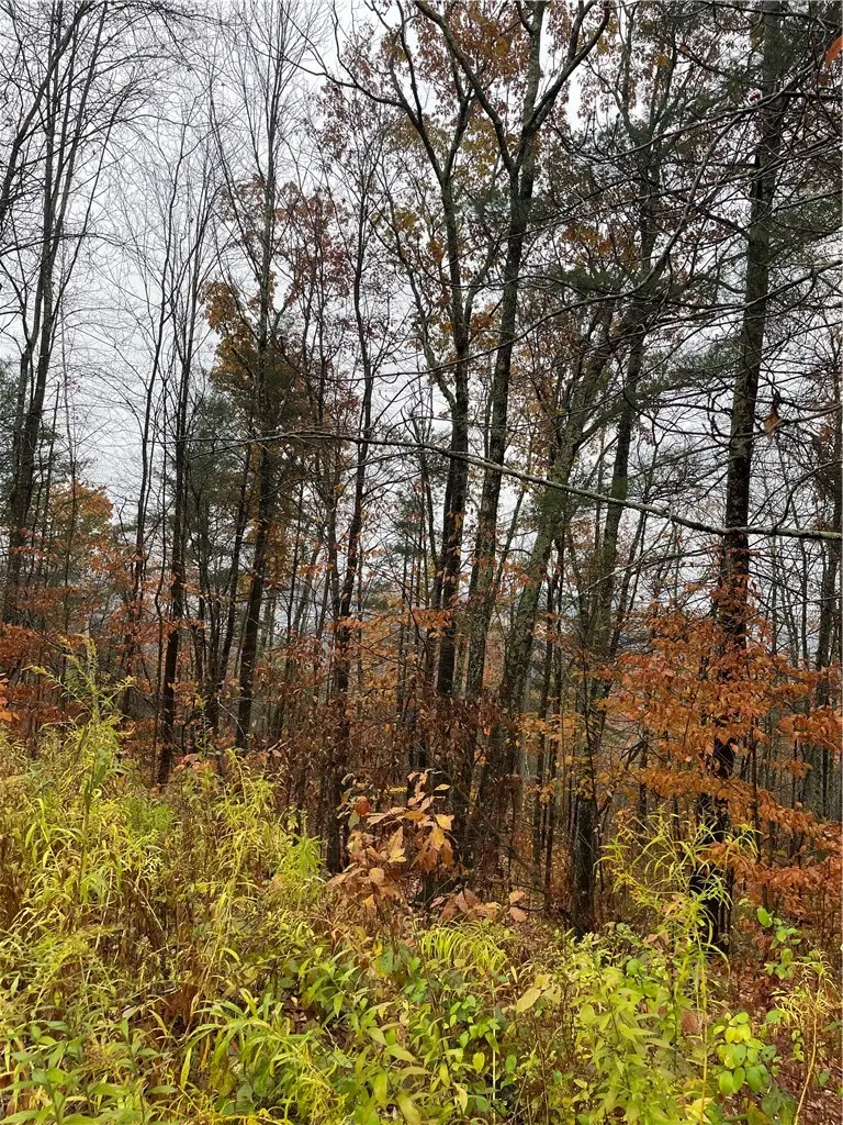 16 Silver Mine Road, Blenheim, NY 12093 - #2