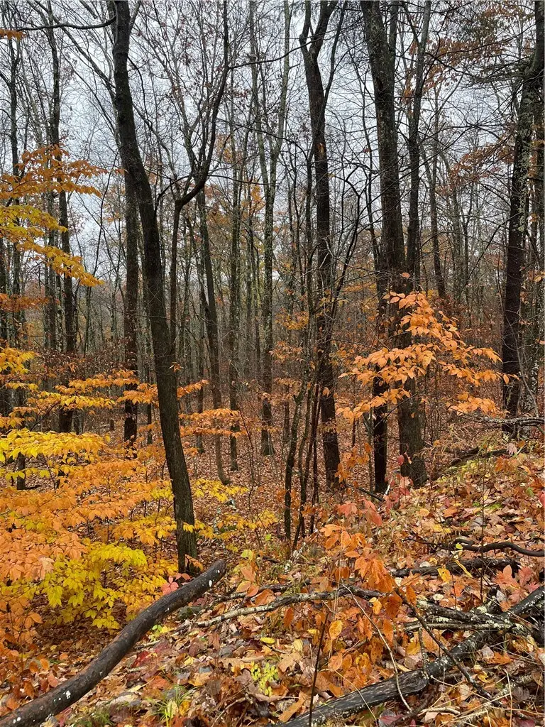 16 Silver Mine Road, Blenheim, NY 12093 - #3