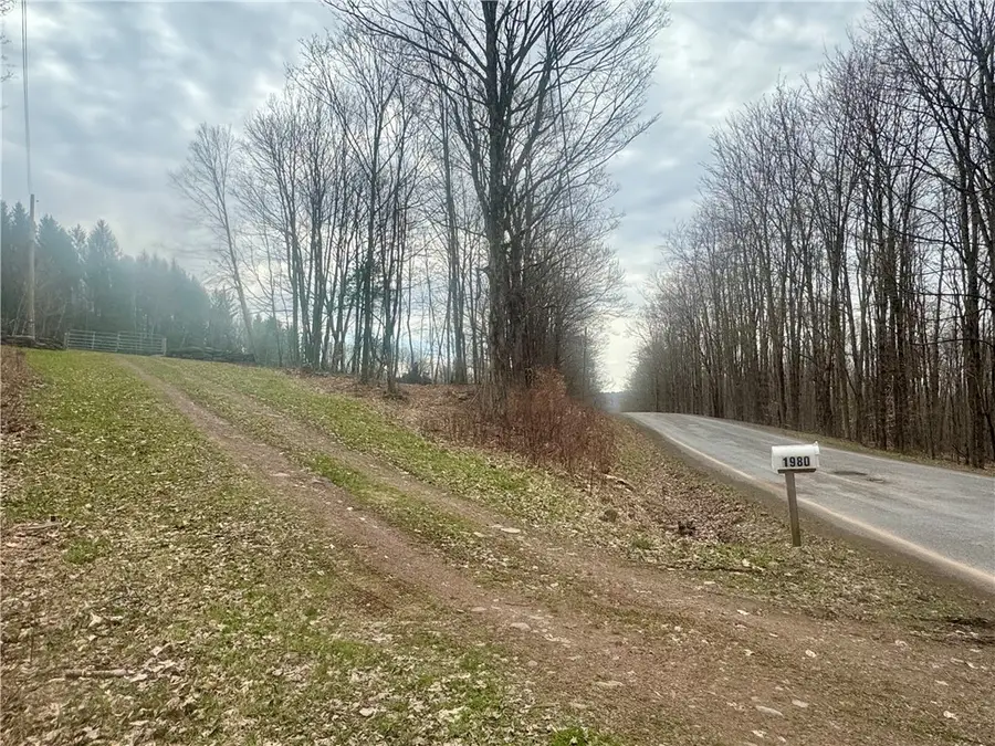 1980 Swart Hollow Road, Davenport, NY 13750 - #2