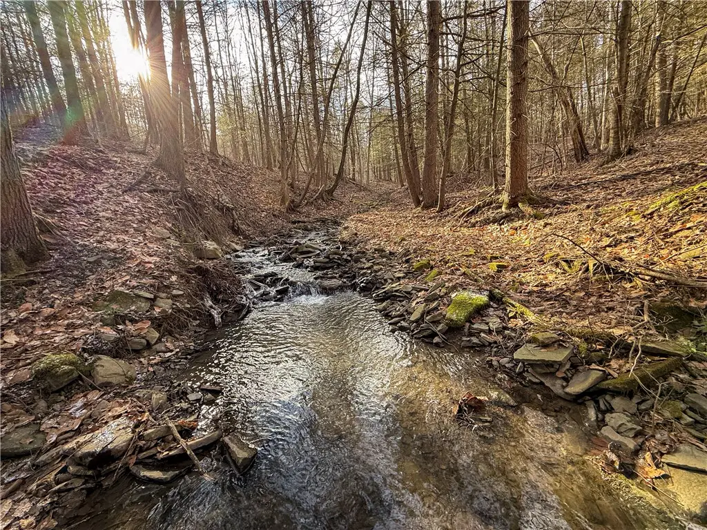 Briggs Hill Road, Van Etten, NY 14889 - #1