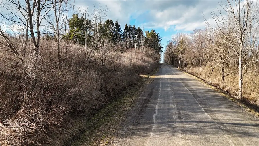 Briggs Hill Road, Van Etten, NY 14889 - #3