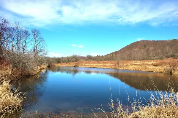 5306 Route 16, Hinsdale, NY 14743