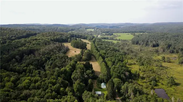 Goddards Road, New Lisbon, NY 13315