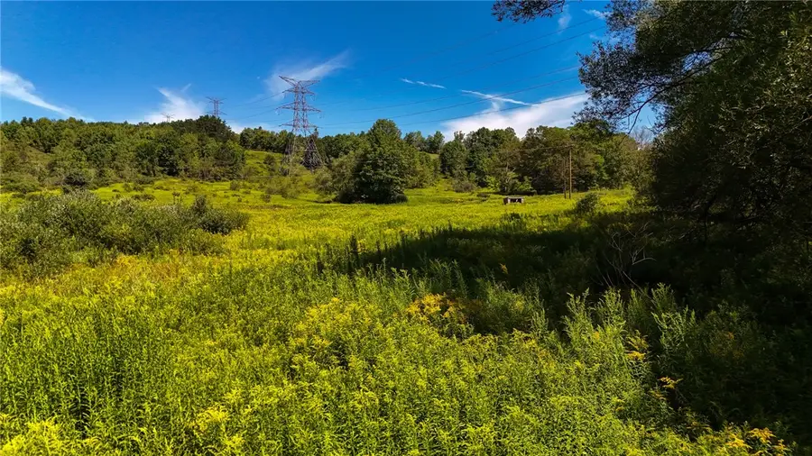 6 County Highway 12, Laurens, NY 13796 - #3