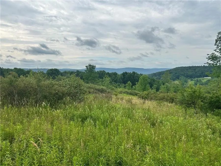Lot 11 Sisson Hill Road, Unadilla, NY 13849 - #2