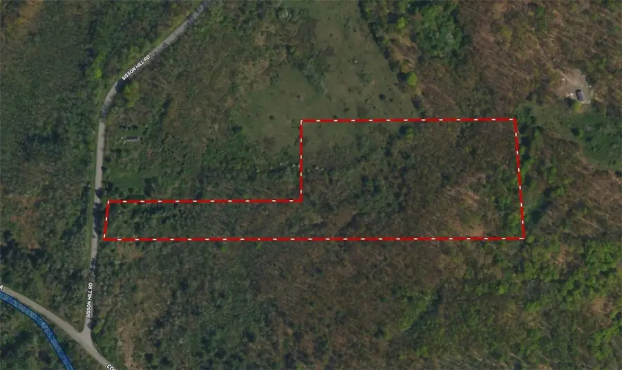 Lot 11 Sisson Hill Road, Unadilla, NY 13849 - #3