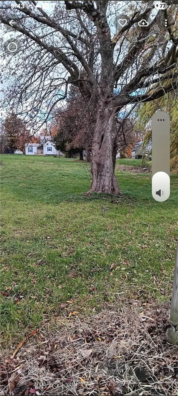 12629 Presbyterian Road, Knowlesville, NY 14479 - #3