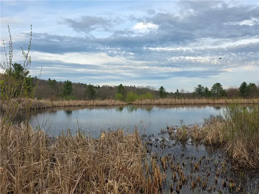 846 Butternut Road, Unadilla, NY 13849 - #3