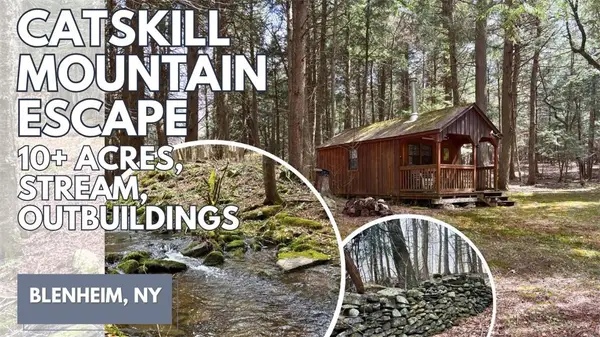 Lot 6.15 Little Beaver Creek Lane, Jefferson, NY 12093