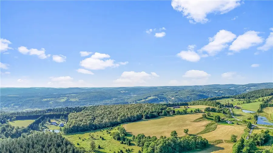 137 Stone Ridge Drive, Charlotteville, NY 12036 - #3