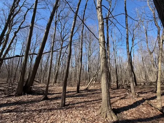 W Somerset Road S, Barker, NY 14012 - #3