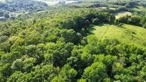 County Highway 6, Otego, NY 13825 - #3