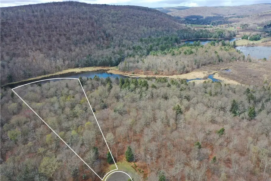 2367 Strawberry Lake Road N, Marathon, NY 13803 - #3