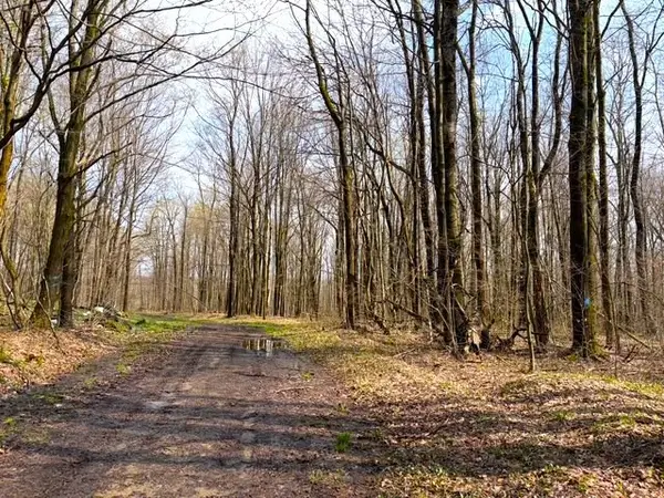 1700 28th Creek Road, Falconer, NY 14733