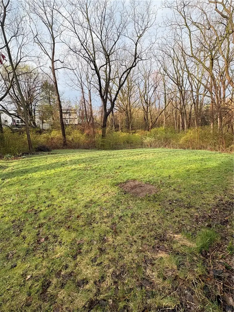 79 Hewitt Street, Rochester, NY 14612 - #3