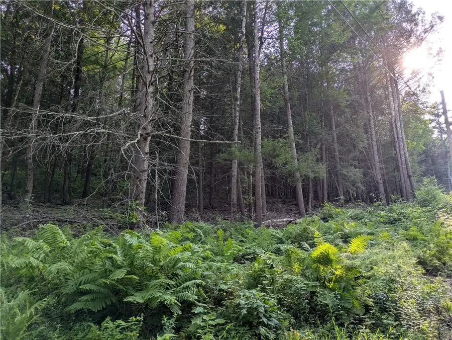Lot 29 Peters Lane, Gilboa, NY 12076 - #2
