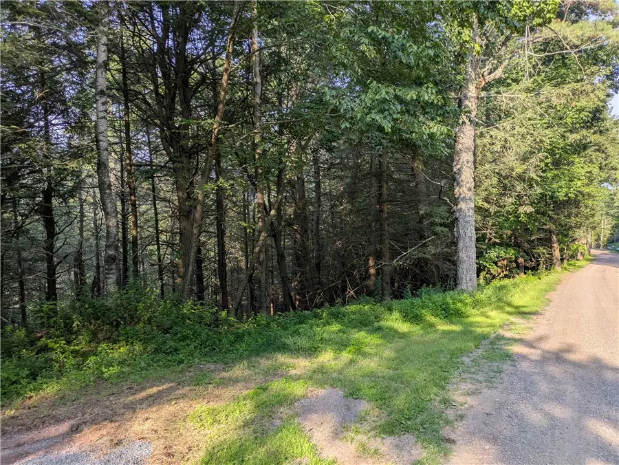 Lot 29 Peters Lane, Gilboa, NY 12076 - #3