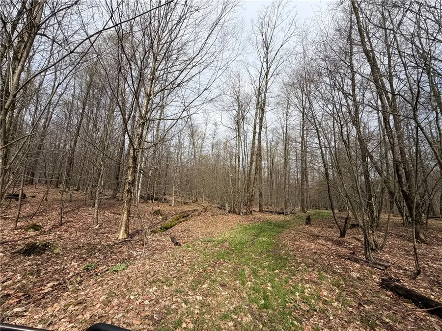 West Hill Road, Ellington, NY 14740 - #3