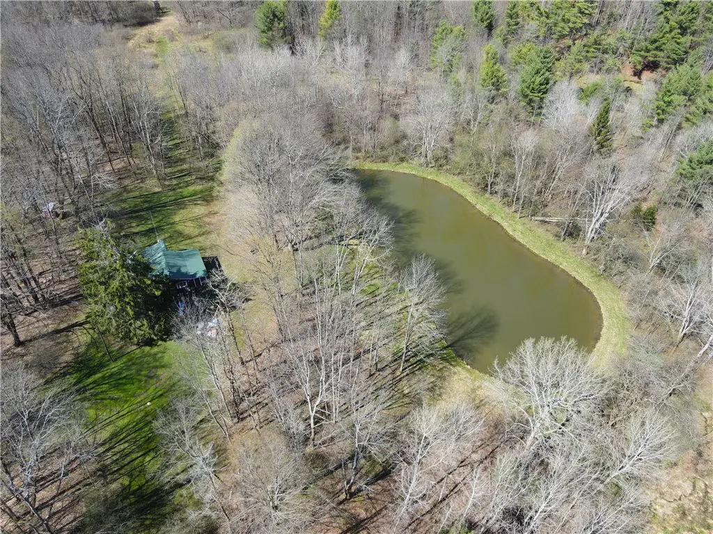 2856 Zimmer Road, Friendship, NY 14739 - #1