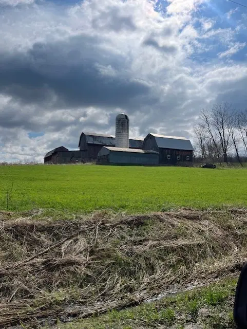 8463 Scipio Road, Nunda, NY 14517 - #3