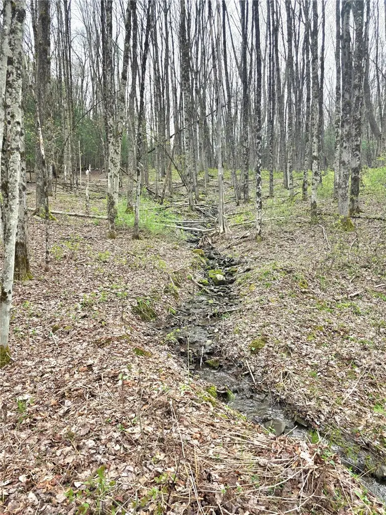 County Highway 52, Cooperstown, NY 13326 - #2