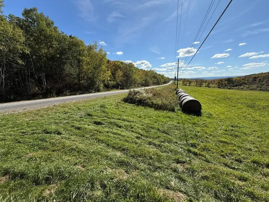 00 Parrott Road, Cayuta, NY 14824 - #3