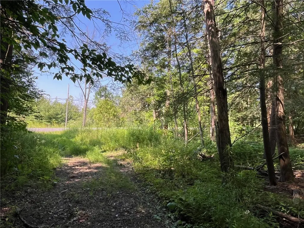 Address Withheld By Seller, Arcade, NY 14009 - #1