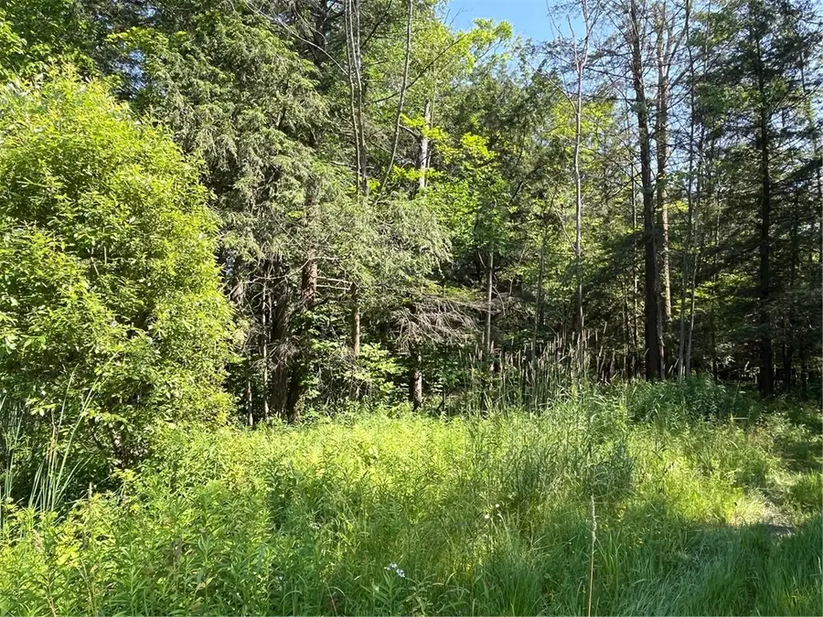 Address Withheld By Seller, Arcade, NY 14009 - #3