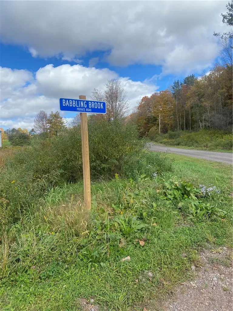 530 Cape Horn Road, Bovina Center, NY 13740 - #2