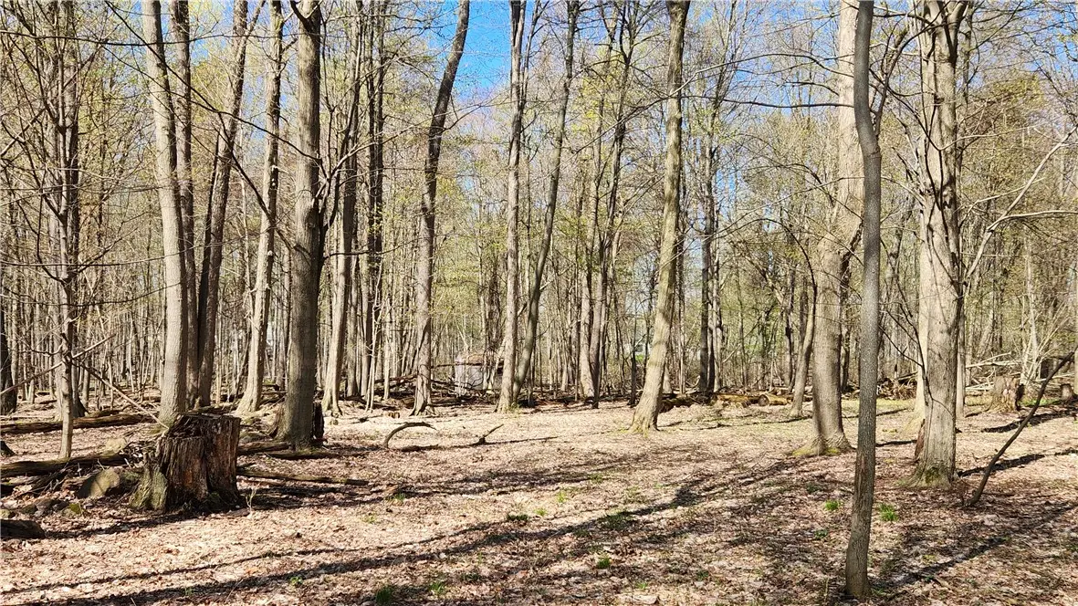 Straub Road, Rochester, NY 14626 - #1