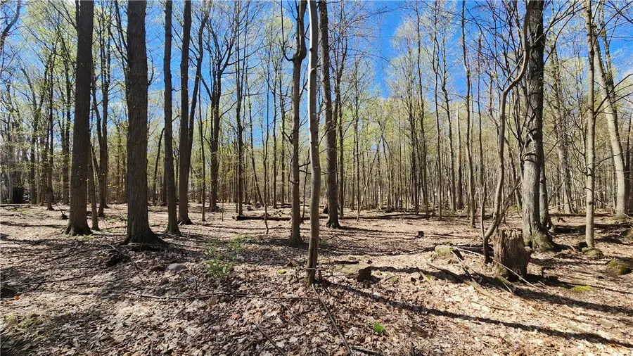 Straub Road, Rochester, NY 14626 - #3