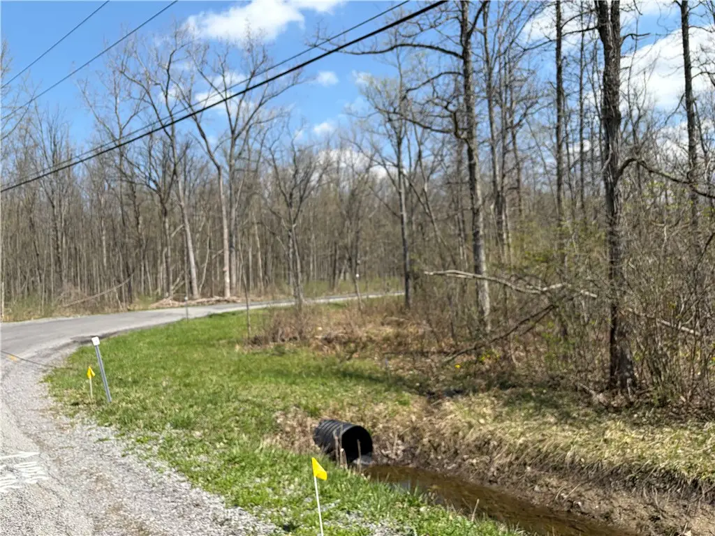 Cedar Road S, Clarence Center, NY 14032 - #1