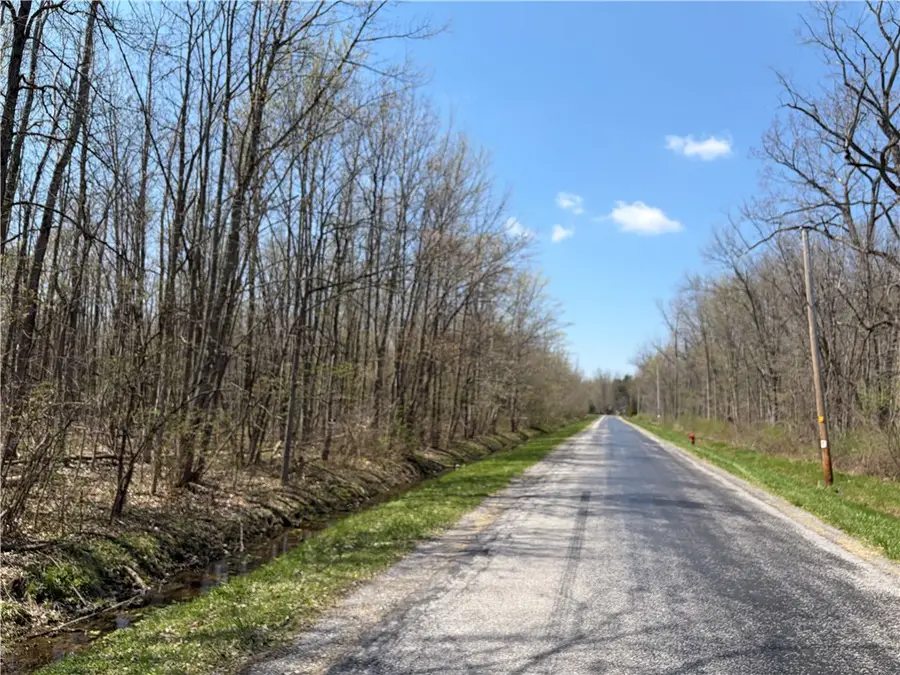 Cedar Road S, Clarence Center, NY 14032 - #2