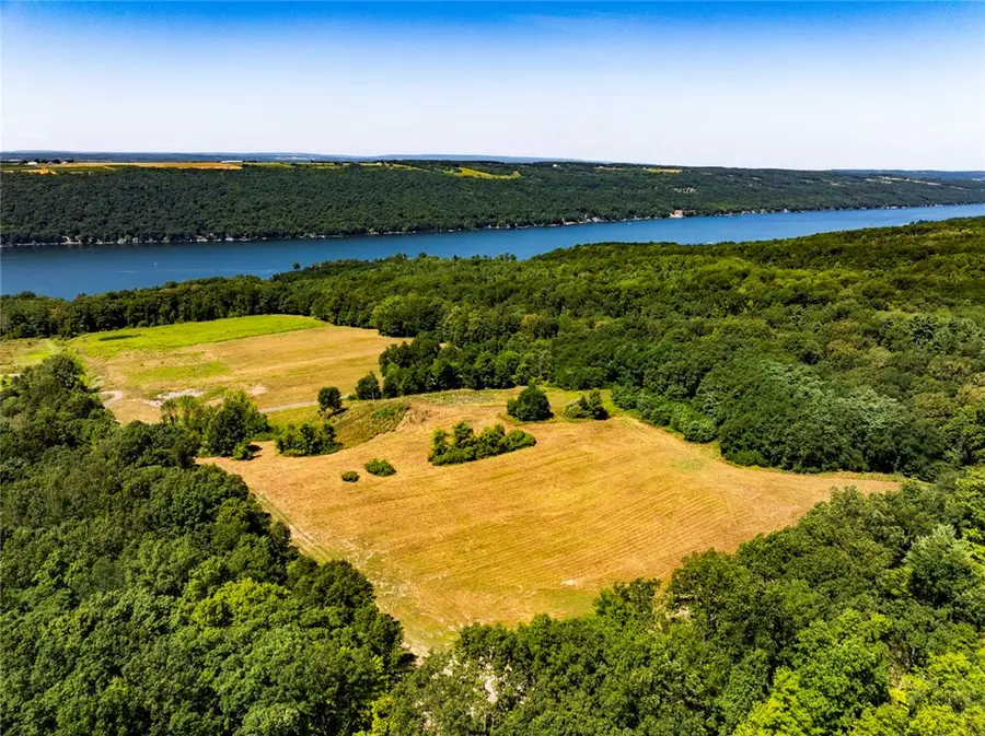 Dutch Street (lot P), Dundee, NY 14837 - #2