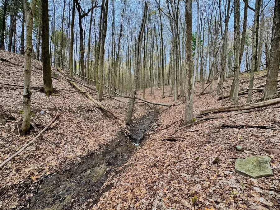 5796 State Route 21 S, Naples, NY 14512 - #3