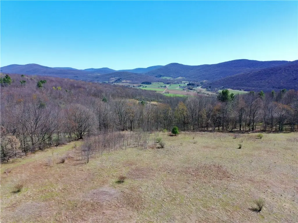 Lot #12.12 Kiff Brook Road, Kortright, NY 13739 - #1