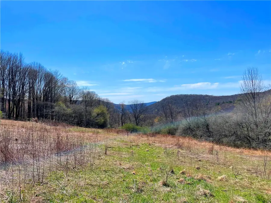 Lot #12.12 Kiff Brook Road, Kortright, NY 13739 - #2