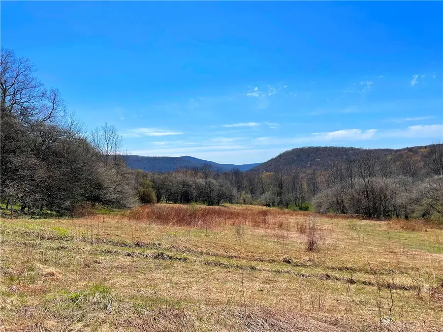 Lot #12.12 Kiff Brook Road, Kortright, NY 13739 - #3