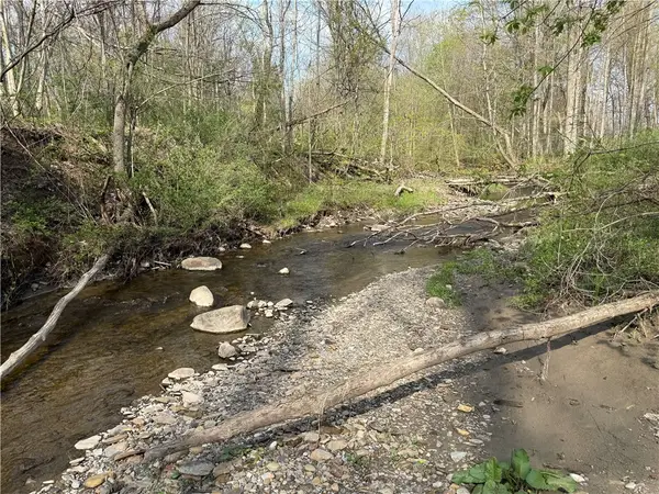 14245 Collin Ctr Zoar Road, Collins, NY 14034