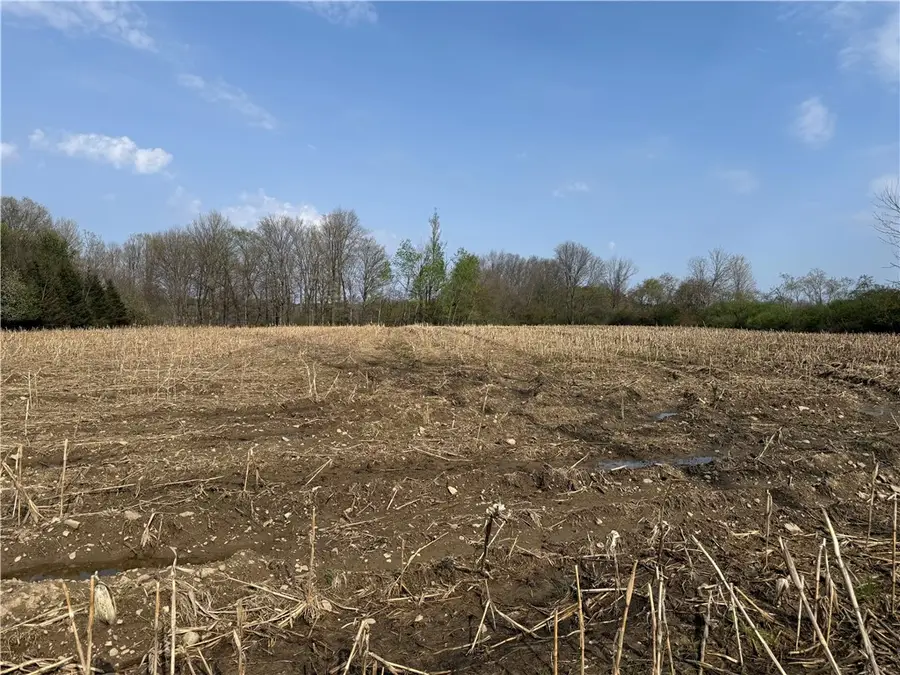 14245 Collin Ctr Zoar Road, Collins, NY 14034 - #2