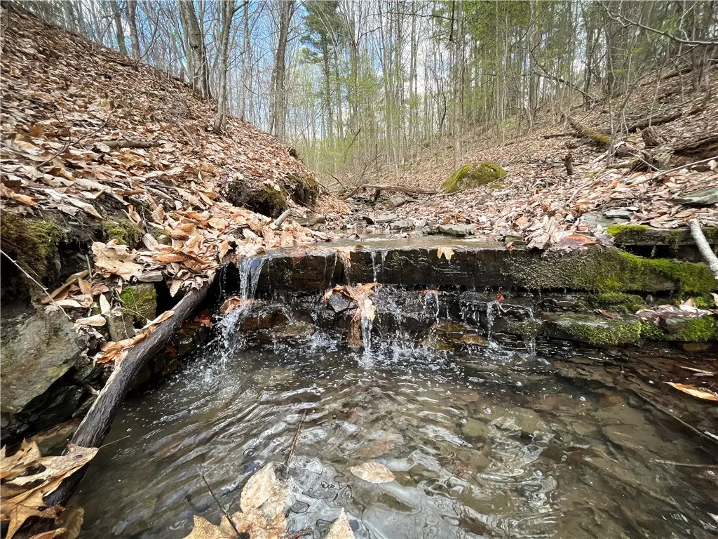 Creek Road, Richford, NY 13835 - #1