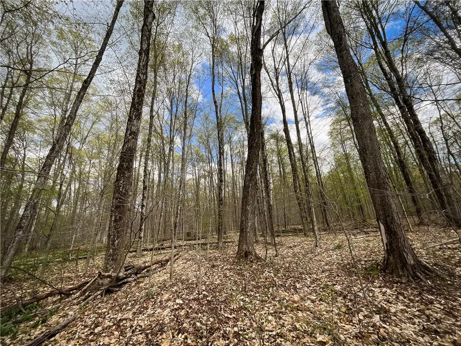 Creek Road, Richford, NY 13835 - #3