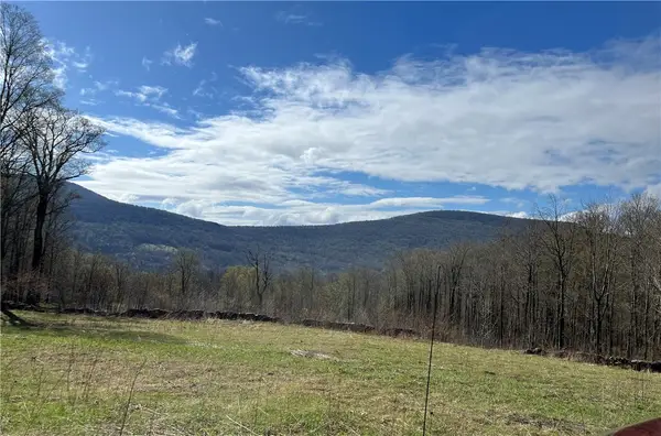 Vega Mountain Road, Roxbury, NY 12474
