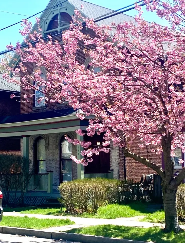 125 Gregory Street #127, Rochester, NY 14620 - #3