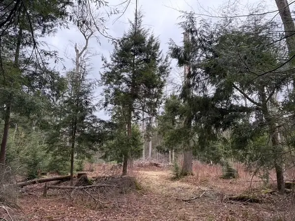 Pritchard Road, Springville, NY 14141