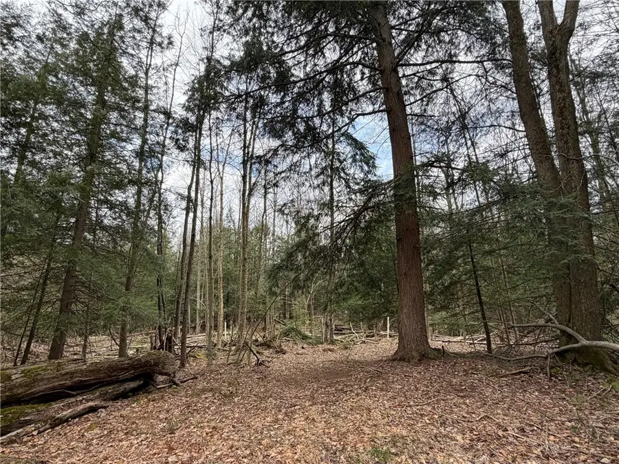 Pritchard Road, Springville, NY 14141 - #3